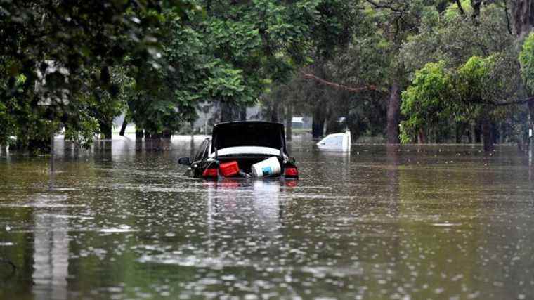 floods kill at least 20, thousands forced to evacuate in Sydney