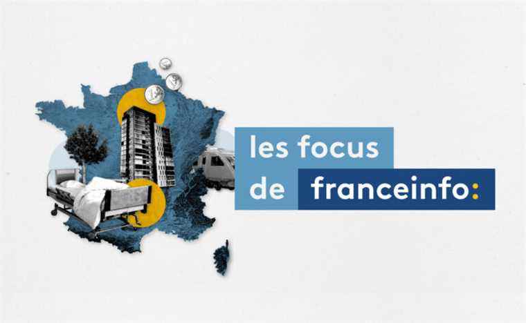 franceinfo explores four themes that remained under the radar of the 2022 presidential campaign