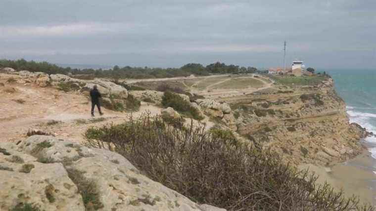 head for Leucate, the paradise of migratory birds