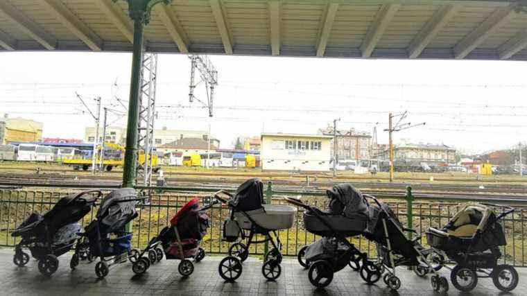 how a photo of strollers waiting for exiles illustrates the plight of families ‘who left everything behind’