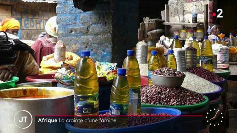 in Africa, the fear of famine due to the war in Ukraine