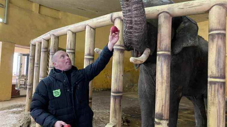 in Kiev, the zoo has become a refuge for keepers and their families