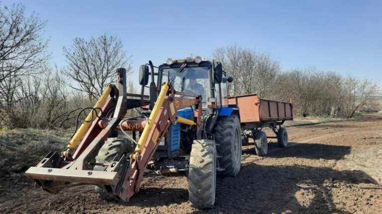 in Ukraine, despite the fighting, farmers at work in the fields