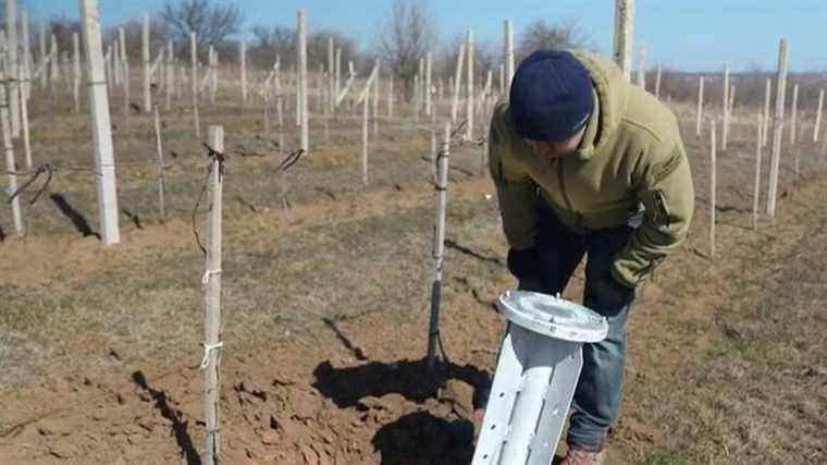 near Odessa, the exploitation of a winegrower hit by a rocket attack