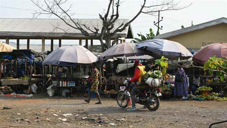 resurgence of cholera kills 29 in one week