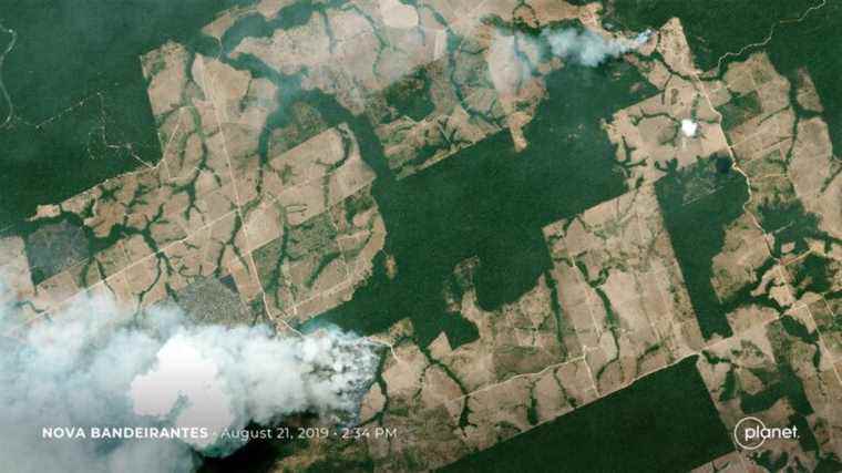 soon the point of no return for the Amazon rainforest