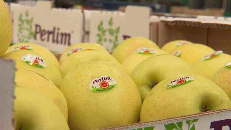 the Golden apple and its highly prized PDO