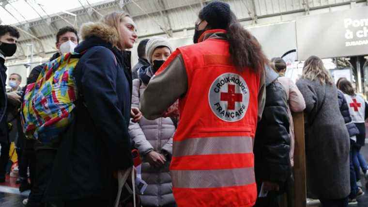 the Red Cross launches a website to “help as much as possible” Ukrainians arriving in France