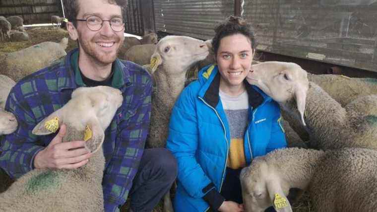 the challenge of the transmission of farms in Touraine