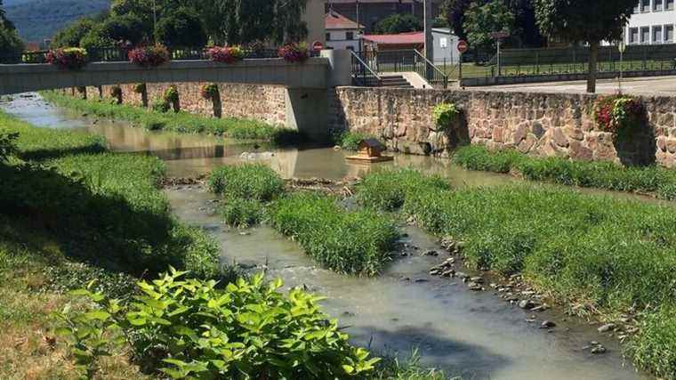 the consequences of climate change in Alsace