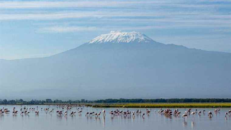 the debate for a cable car on Kilimanjaro is revived