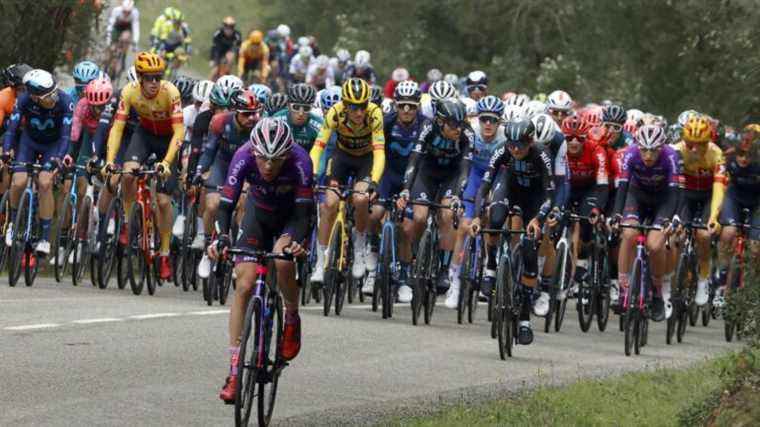 the peloton on the way to a bunch sprint in Perpignan?  Follow the second step