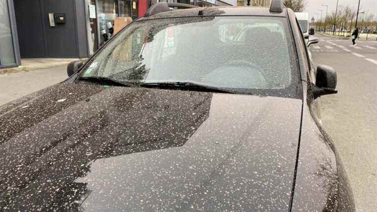 the wind from the Sahara causes a rain of yellow sand on Bordeaux