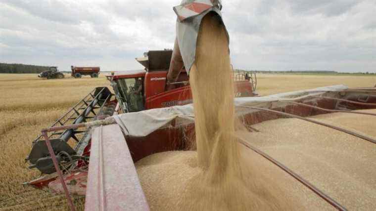 world food security is in danger, warns the IMF