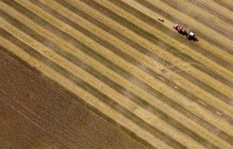 ​Agriculture: Canadian echoes of the blocking of fertilizers