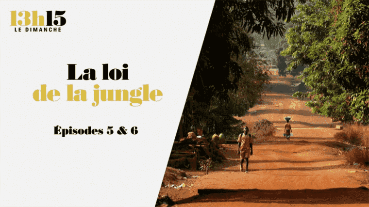 “1:15 p.m. on Sunday”.  The law of the jungle > Episodes 5 & 6 – France 2 – April 24, 2022