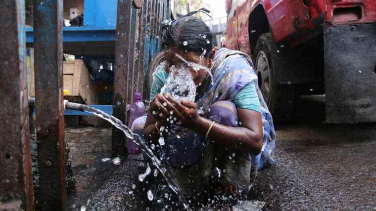 46°C in Delhi, 50°C in Jacobabad… An extreme heat wave hits India and Pakistan