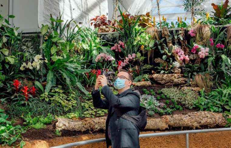 A new Montreal Insectarium emerges from its cocoon