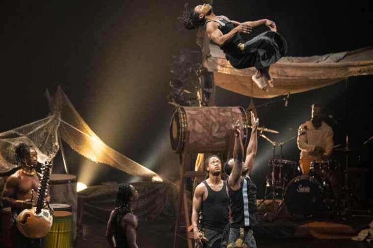 Africa in the circus |  A change of scenery more musical than circus