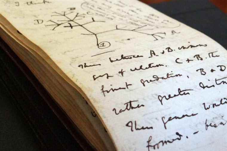 After 20 years of disappearance, two Darwin notebooks return to Cambridge