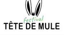 After a year of absence, the Tête de Mule Festival is back on the screens