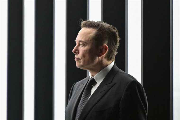 After becoming the first shareholder |  Elon Musk wonders if Twitter is ‘dying’