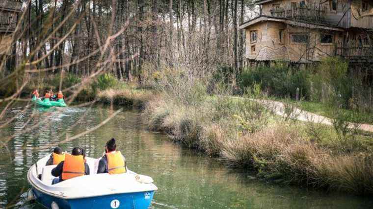 Are you ready to win your stay at Center Parcs Domaine du Bois aux Daims?