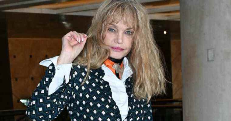 Arielle Dombasle did not vote for the presidential election: she reveals the surprising reason…