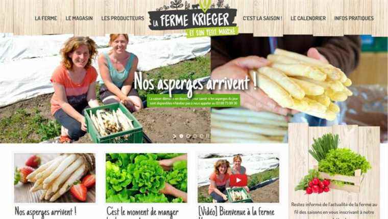 Asparagus from Ferme Krieger in Haguenau