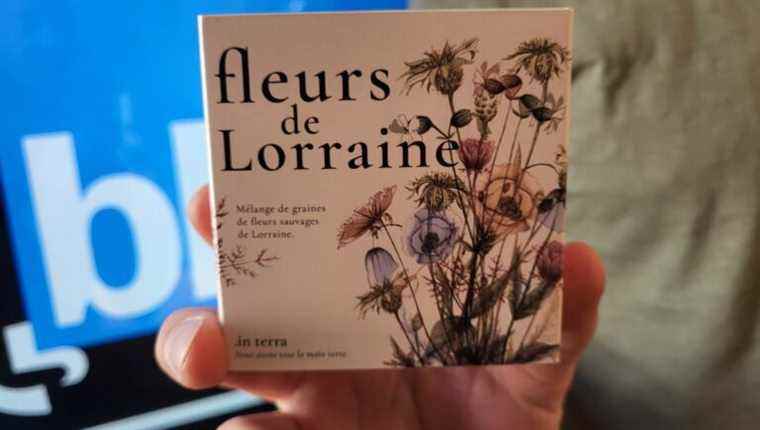 At the table with Thomas Zix, creator of “fleurs de Lorraine” local flowers to sow… here