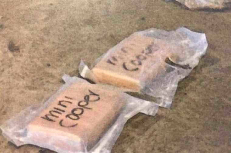 Attempt to import cocaine |  Two employees of an aviation service company arrested