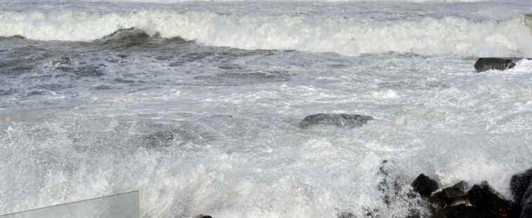 Australia: Sydney beach engulfed by huge waves