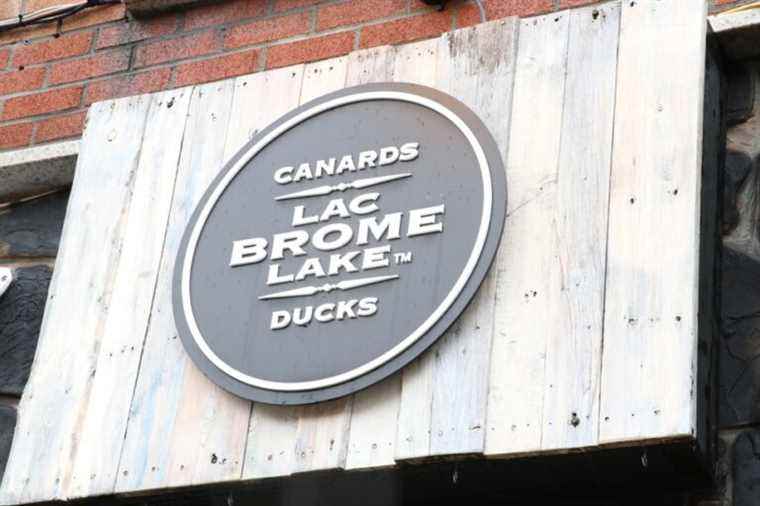 Avian flu H5N1 |  Canards du Lac-Brome plans up to a year off