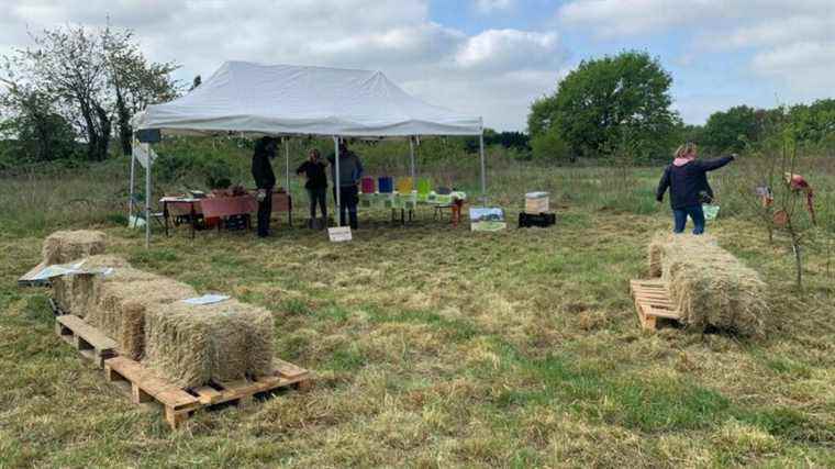 Biodiversity week in Cléon around Lac Patin