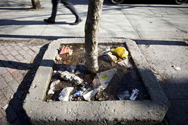 Calling all |  The dirt of Montreal in the spring