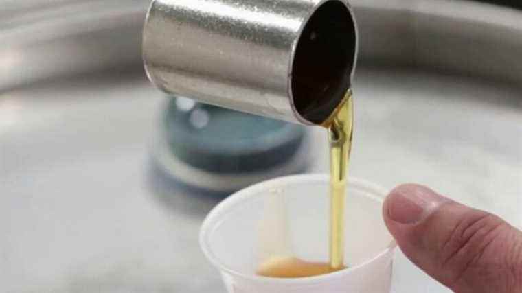 Canada: maple syrup, Quebec’s economic treasure, is in danger