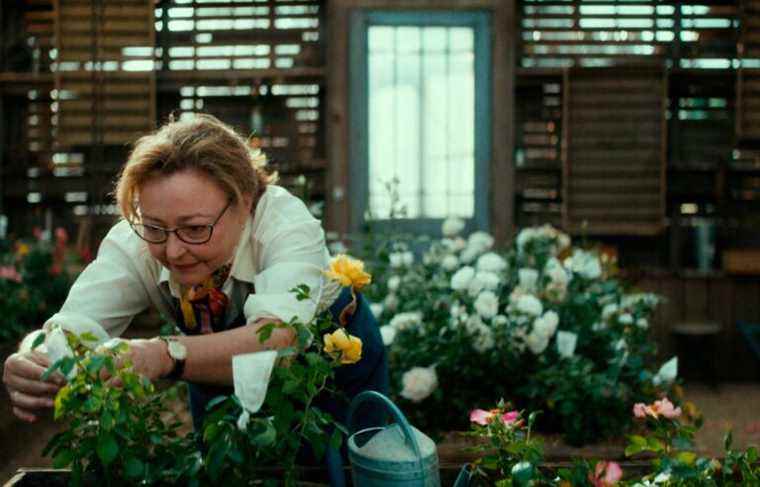 Catherine Frot as Queen of Roses