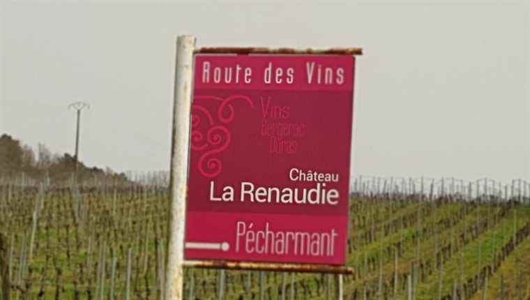 Chateau La Renaudie in Lembras