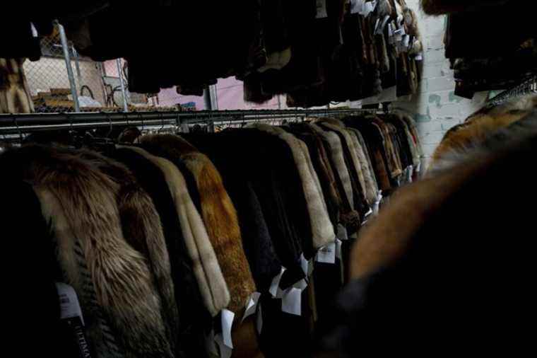 Critics of fur farming are unfair