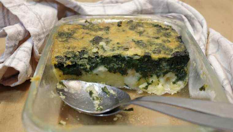 DUO with GORGONZOLA, cornmeal and cheese for a simple and tasty Italian recipe