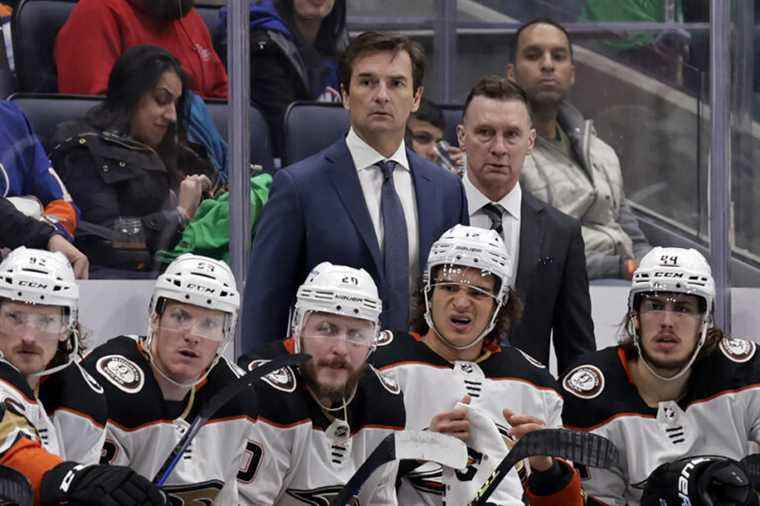 Dallas Eakins back at the helm of the Ducks in 2023