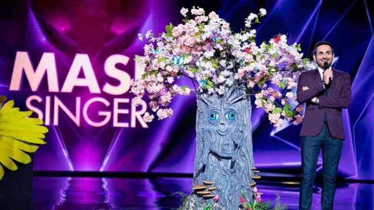 Deluge of clues and return of the Raven in Mask Singer this Friday April 15 on TF1