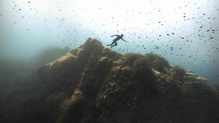 Discover the first images of the documentary “Mediterranean, the odyssey for life” broadcast tonight on France 2