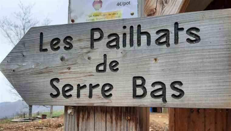 Discovering the Chades Family Farm in Serre-Bas (commune of Besse)