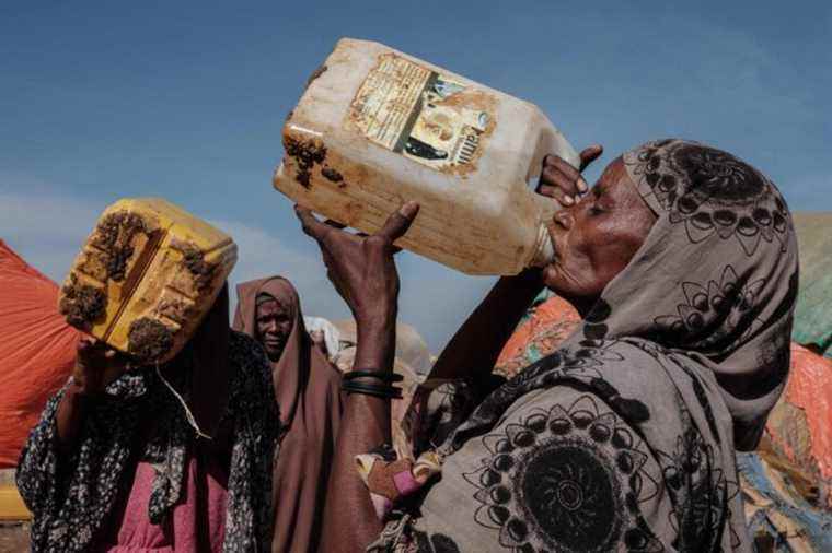 Drought threatens 20 million people with famine