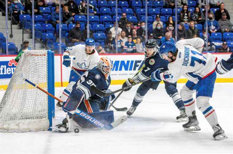 ECHL |  The Frustrated and Bleached Lions