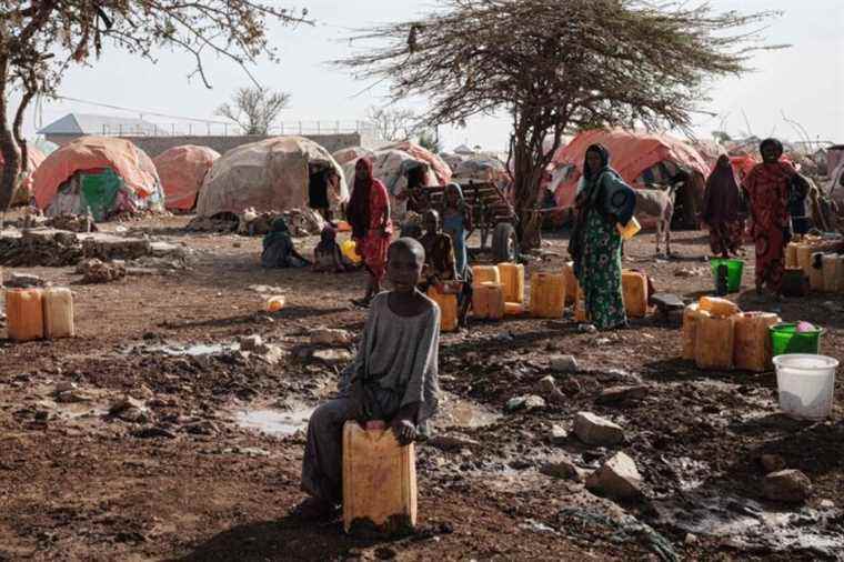 Fight against famine |  UN secures $1.39 billion to help Horn of Africa