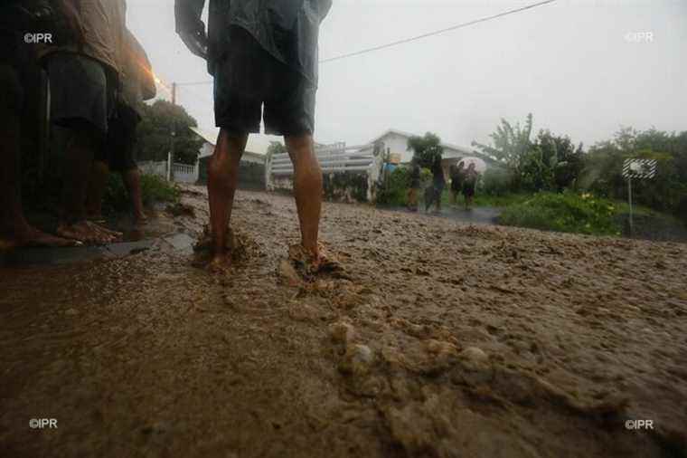 Following heavy rains, cases of leptospirosis are increasing in La Réunion