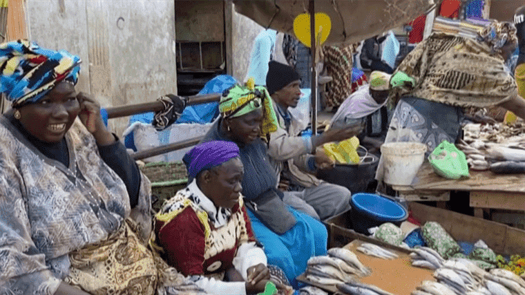 Food shortage threatens in Senegal