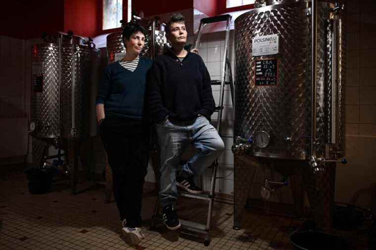 France |  Brewers bring beer back to its female origins